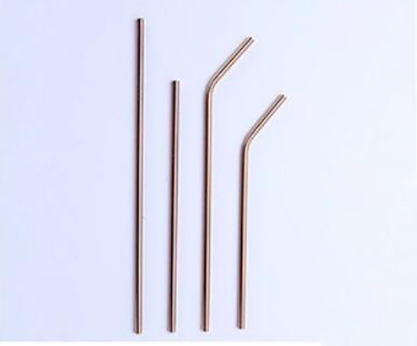 4 Stainless Steel Straws With Carry Bag